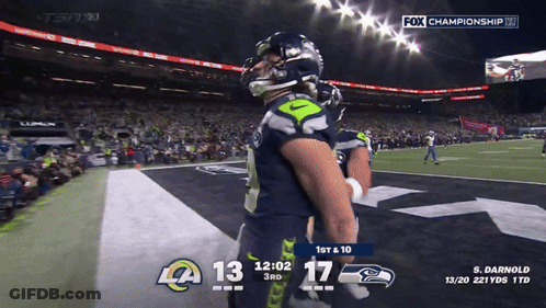 Fox Championship TV Football Game GIF
