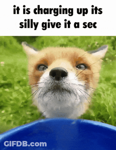 Fox Charging Up Its Silly Give It A Sec GIF