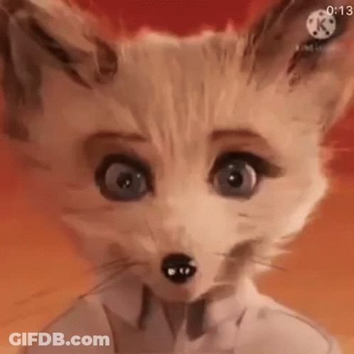 Fox Face With Bow Tie GIF