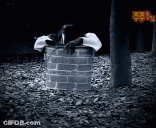 Fox In Real Madrid Jersey With Elig GIF