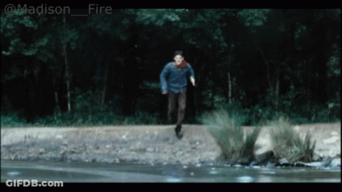 Fox In Shirt And Tie Saying Tax Evasion GIF