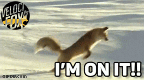Fox Jumping In Snow I M On It GIF