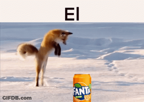 Fox Jumping In Snow Next To Fanta Can GIF