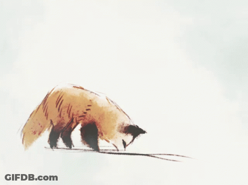 Fox Jumping In The Air GIF