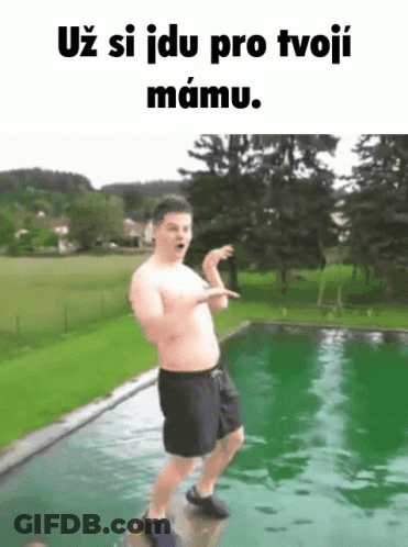 Fox Kicking Soccer Ball Go Czechia GIF
