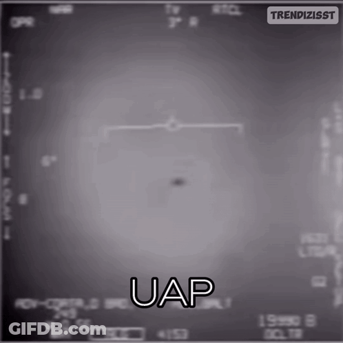 Fox Kicking Soccer Ball Go Sweden GIF