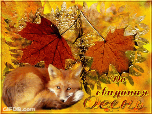 Fox Laying On Autumn Leaves Saying Do Ebuganu Oeenb GIF