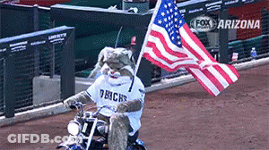 Fox Mascot Riding Motorcycle Holding American Flag GIF