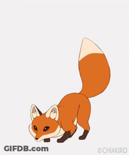 Fox Named Chiakiro GIF