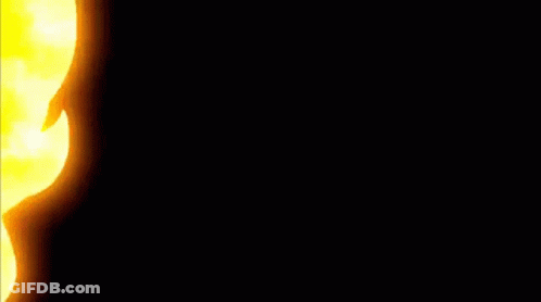 Fox Named Fennekin GIF