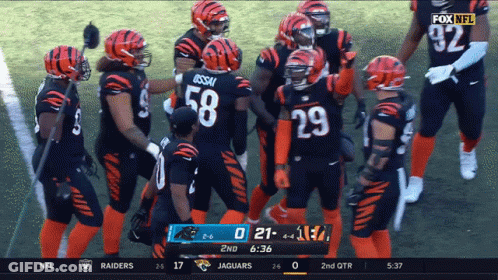 Fox NFL Broadcast Bengals Vs Jaguars GIF
