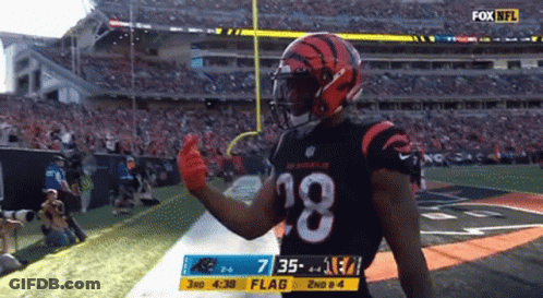 Fox NFL Broadcast Football Game GIF