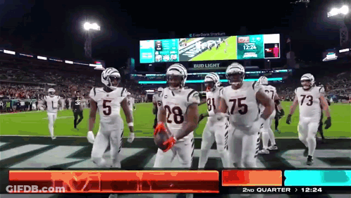 Fox NFL Broadcast Football Game GIF
