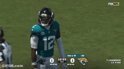 Fox NFL Broadcast Jaguars Vs Panthers GIF