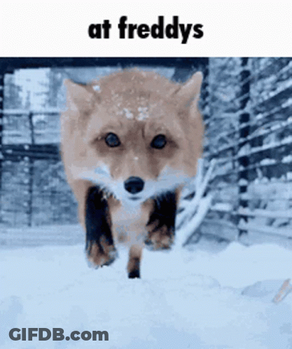 Fox Running In Snow At Freddy's GIF