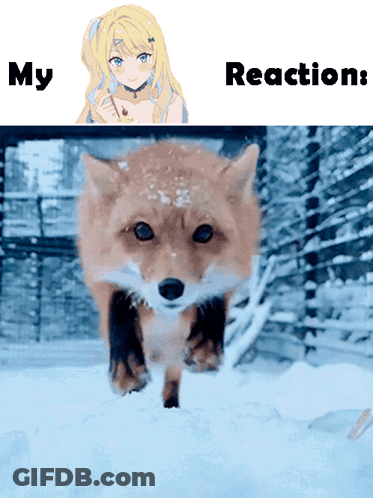 Fox Running In Snow With Girl Saying My Reaction GIF