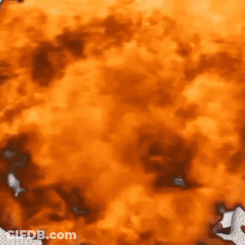 Fox Says I'm Gonna Roast Ya On That Fire GIF