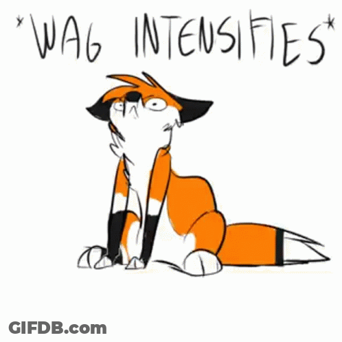 Fox Sitting With Wag Intensifies GIF