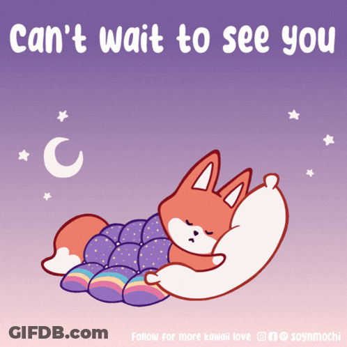 Fox Sleeping Can't Wait To See You GIF
