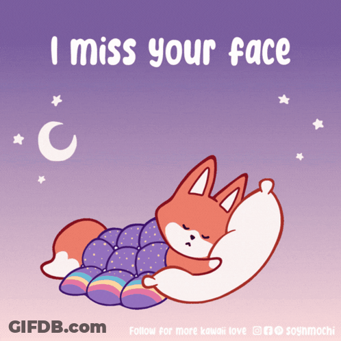 Fox Sleeping I Miss Your Face GIF