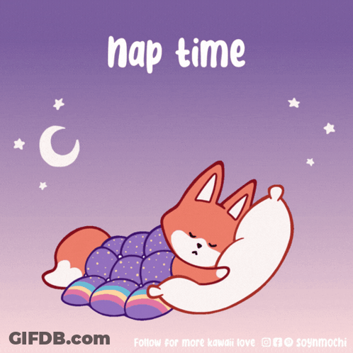 Fox Sleeping Saying Nap Time GIF
