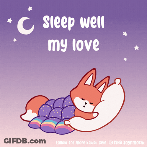 Fox Sleeping Under Blanket Sleep Well My Love GIF