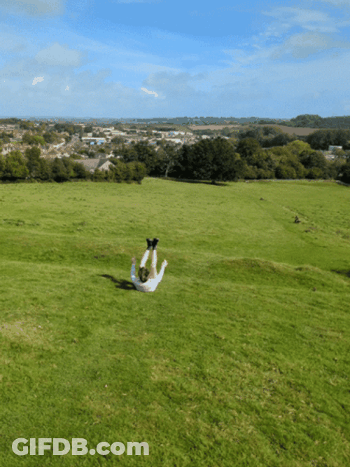 Fox Terrier Dog Running In The Grass GIF