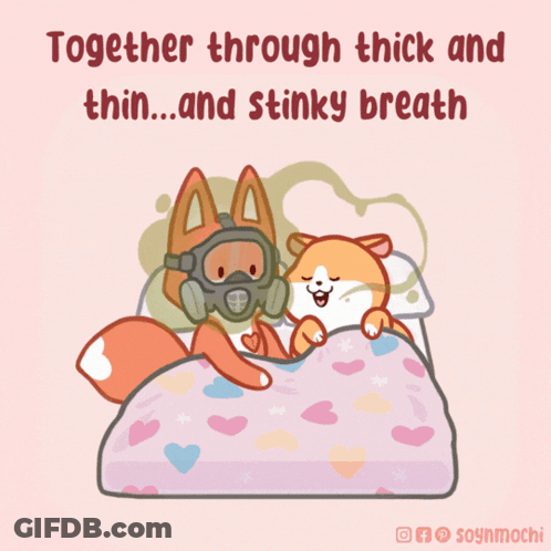 Fox Wearing Gas Mask Lying On Bed GIF