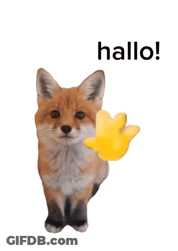 Fox With Hallo Written Above GIF