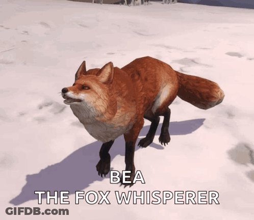 Fox With Name Bea The Fox Whisperer GIF