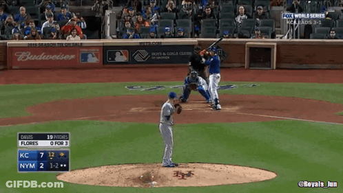 Fox World Series Game GIF