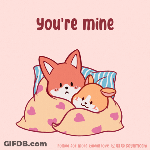 Foxes Sleeping Under Blanket Youre Mine GIF