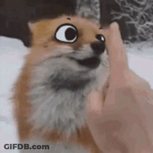 Foxy Wobbly Eyes Loves Boop GIF