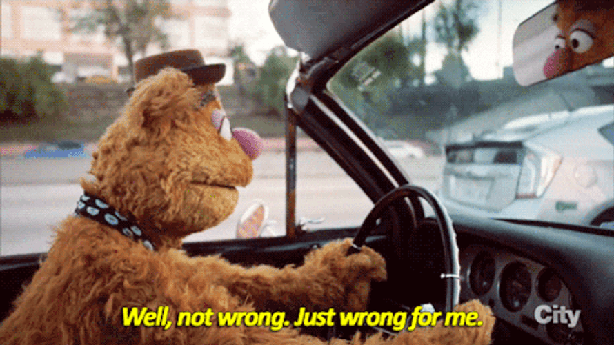 Fozzie Bear Just Wrong For Me GIF