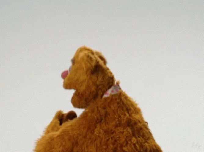 Fozzie Bear LOL Stop It GIF