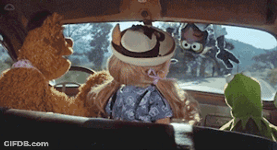 Fozzie Bear Miss Piggy Don't Understand GIF