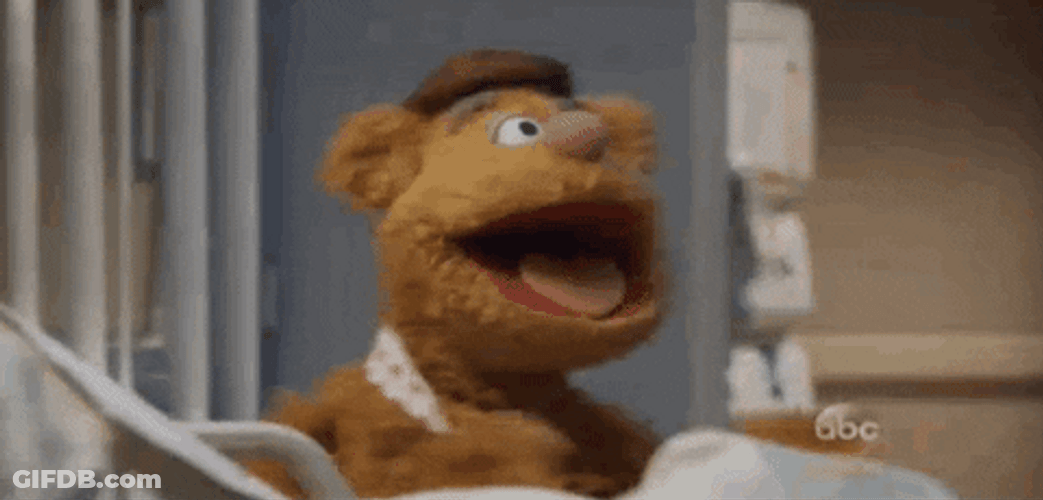 Fozzie Bear Muppets Scream Queen GIF