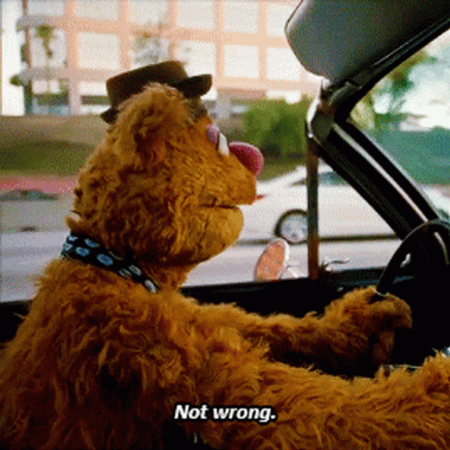 Fozzie Bear Not Wrong Driving GIF