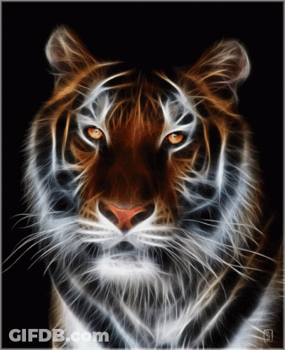 Fractal Tiger With S GIF
