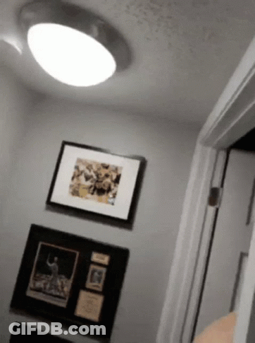 Framed Basketball Player Next To Door GIF
