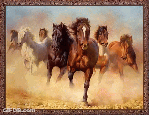 Framed Painting Of Horses Running In Desert GIF