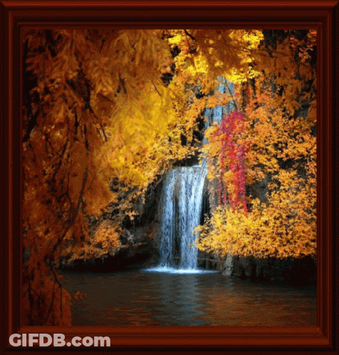 Framed Picture Of Autumn Waterfall GIF