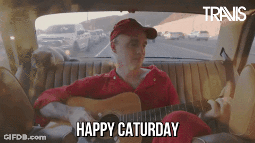 Fran Healy Caturday Happy Cat Meme GIF