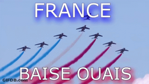 France Baise Ouais Poster Planes Flying In Formation GIF