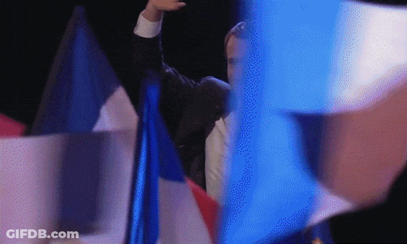 France Bastille Day Flags Waving GIF