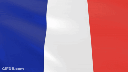 France Flag Blue White Red Waving GIF