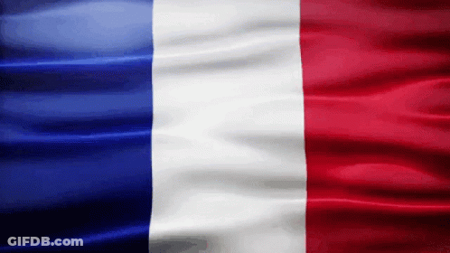 France Flag Gif GIF