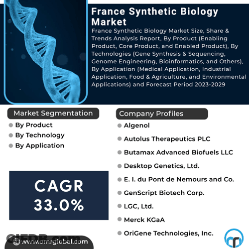 France Synthetic Biology Market GIF
