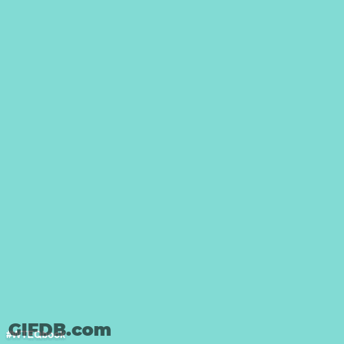 Franchesca Ramsey Book Well That Escalated Quickly GIF