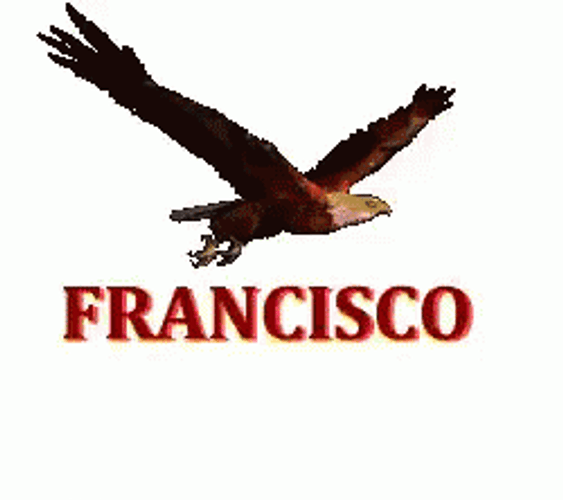 Francisco Flying Bird GIF